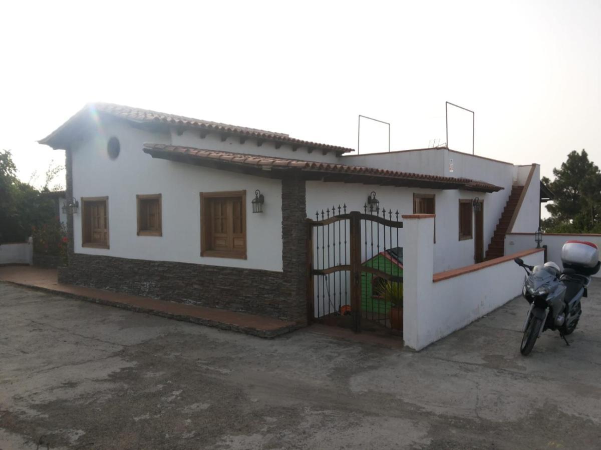 Oasis Hill Icod De Los Vinos Exterior foto
